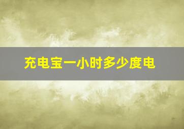 充电宝一小时多少度电