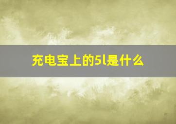 充电宝上的5l是什么