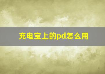 充电宝上的pd怎么用