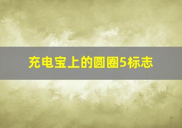 充电宝上的圆圈5标志