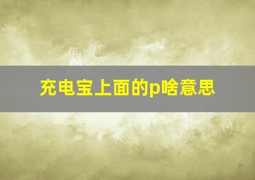 充电宝上面的p啥意思