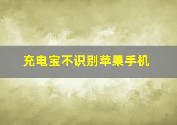 充电宝不识别苹果手机