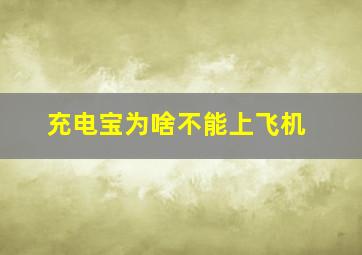 充电宝为啥不能上飞机