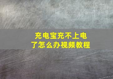 充电宝充不上电了怎么办视频教程