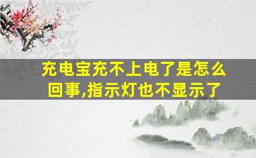 充电宝充不上电了是怎么回事,指示灯也不显示了