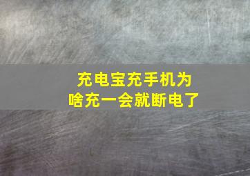 充电宝充手机为啥充一会就断电了