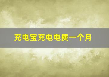 充电宝充电电费一个月