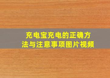 充电宝充电的正确方法与注意事项图片视频