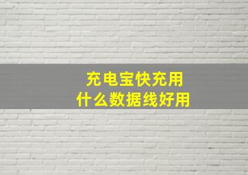 充电宝快充用什么数据线好用