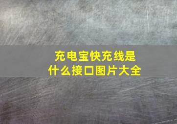 充电宝快充线是什么接口图片大全