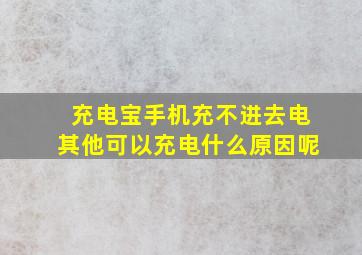 充电宝手机充不进去电其他可以充电什么原因呢