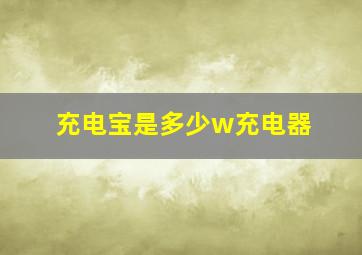 充电宝是多少w充电器