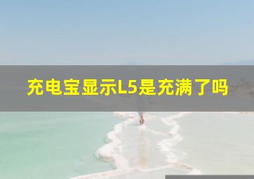 充电宝显示L5是充满了吗