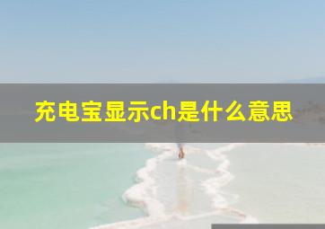 充电宝显示ch是什么意思