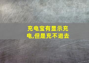 充电宝有显示充电,但是充不进去