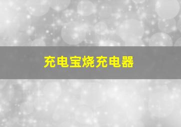 充电宝烧充电器