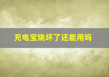 充电宝烧坏了还能用吗