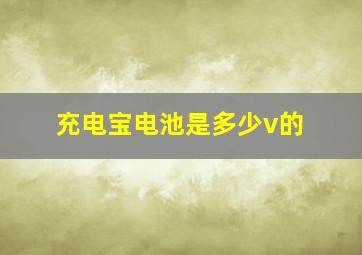 充电宝电池是多少v的