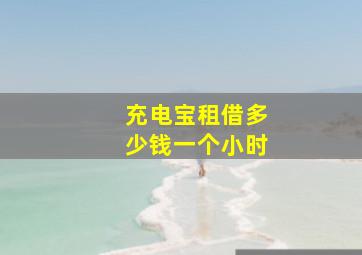 充电宝租借多少钱一个小时