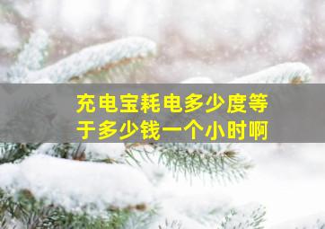 充电宝耗电多少度等于多少钱一个小时啊