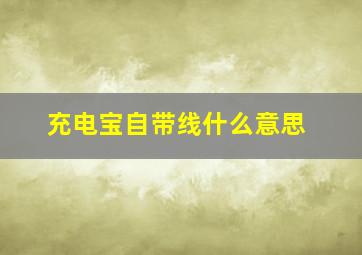 充电宝自带线什么意思