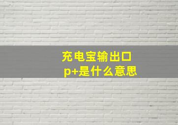 充电宝输出口p+是什么意思