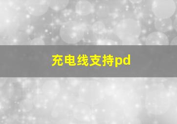 充电线支持pd