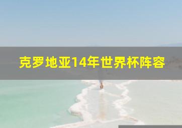 克罗地亚14年世界杯阵容