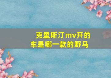 克里斯汀mv开的车是哪一款的野马