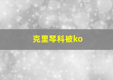 克里琴科被ko