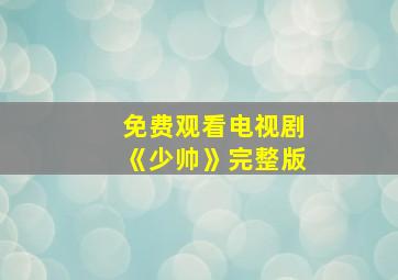 免费观看电视剧《少帅》完整版