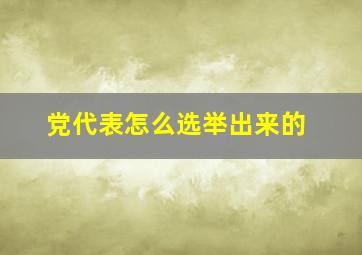 党代表怎么选举出来的