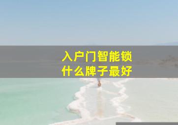 入户门智能锁什么牌子最好