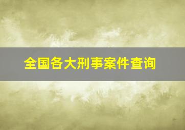 全国各大刑事案件查询