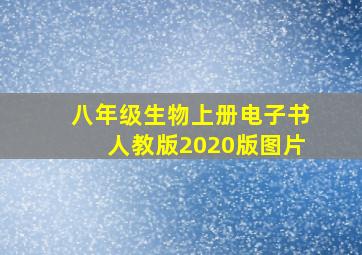 八年级生物上册电子书人教版2020版图片