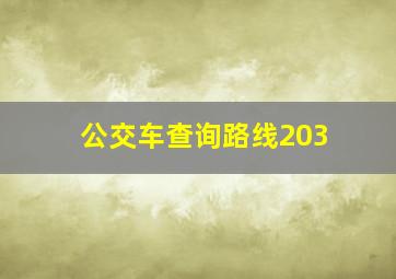 公交车查询路线203