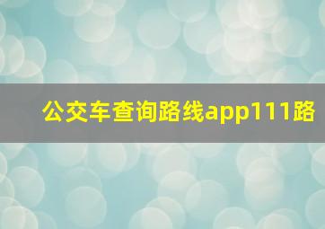 公交车查询路线app111路