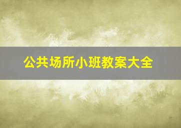 公共场所小班教案大全