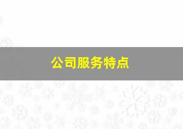 公司服务特点