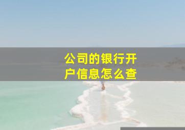 公司的银行开户信息怎么查