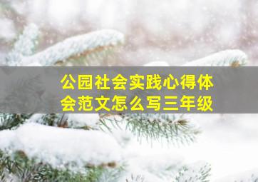 公园社会实践心得体会范文怎么写三年级