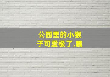 公园里的小猴子可爱极了,瞧