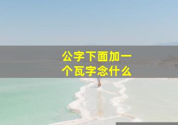 公字下面加一个瓦字念什么