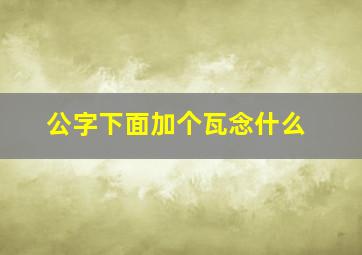 公字下面加个瓦念什么