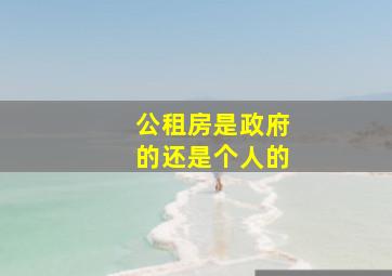 公租房是政府的还是个人的