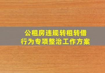 公租房违规转租转借行为专项整治工作方案