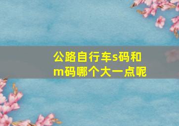 公路自行车s码和m码哪个大一点呢