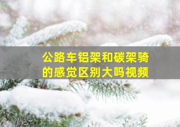 公路车铝架和碳架骑的感觉区别大吗视频