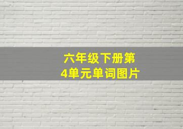 六年级下册第4单元单词图片