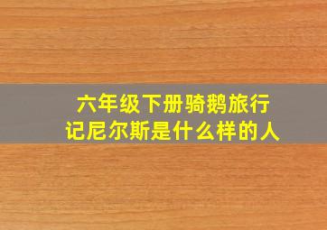 六年级下册骑鹅旅行记尼尔斯是什么样的人